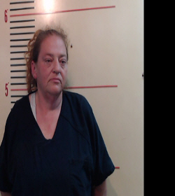 FOSTER, MICHELLE booking photo