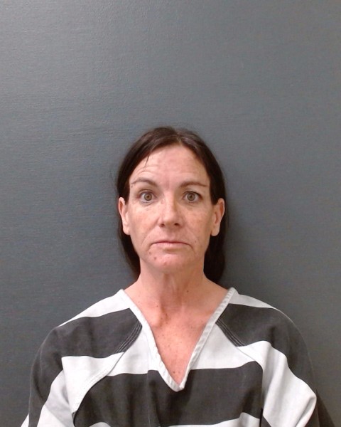 PRICE, SARAH ANN booking photo