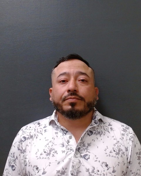 MEDELLIN, RAUL, Jr. booking photo