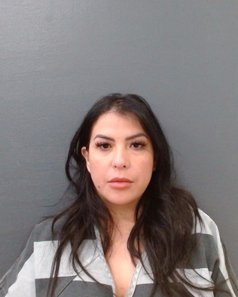 VALDEZ, MARISSA ANN booking photo