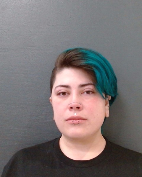 GOODSON, SALEM MICHELLE booking photo