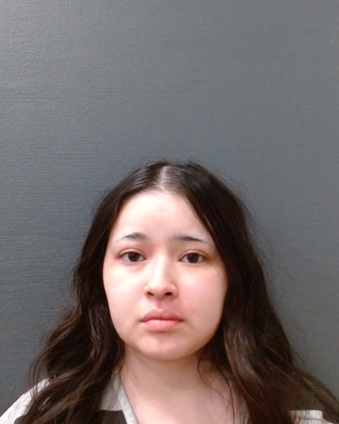SEPEDA, ALYSSA TAYLOR booking photo