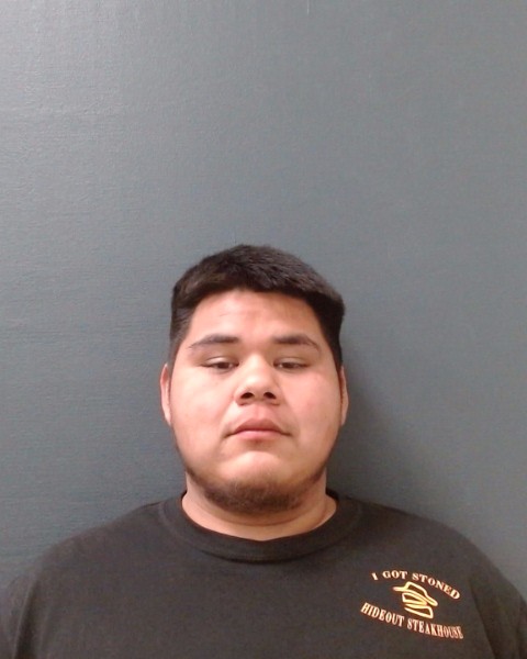 PADRON, FELIPE JUNIOR booking photo