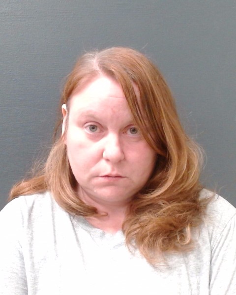 MAXSON, AMY LYNN booking photo