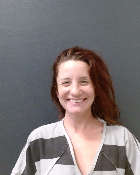 WHITLEY, LAUREN NICOLE booking photo