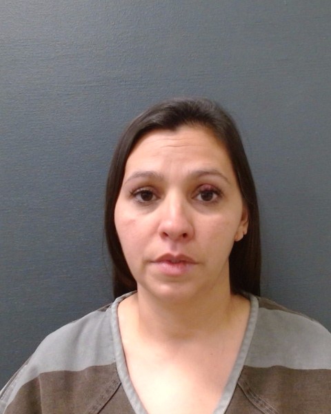 VILLEGAS, ELIZABETH ANN booking photo