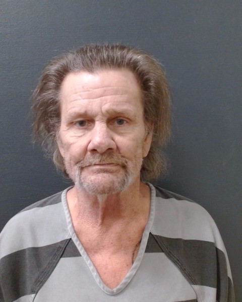 TOURVILLE, TRACY LEE booking photo