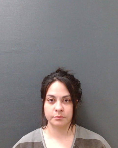 HERNANDEZ, MARIA ANA booking photo