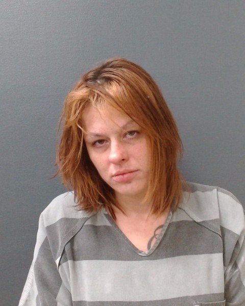 HANSON, ASHLEY LEEANN booking photo