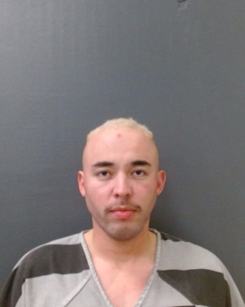 SHELTON, CHRISTIAN JOSHUA booking photo