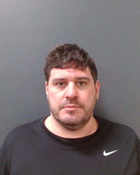 HOLLYFIELD, WILLIAM MICHAEL booking photo