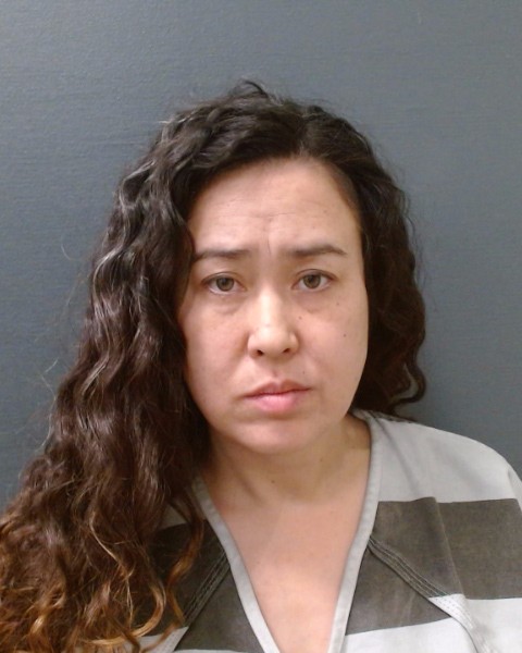 HAGGERTY, DONNA SUN booking photo