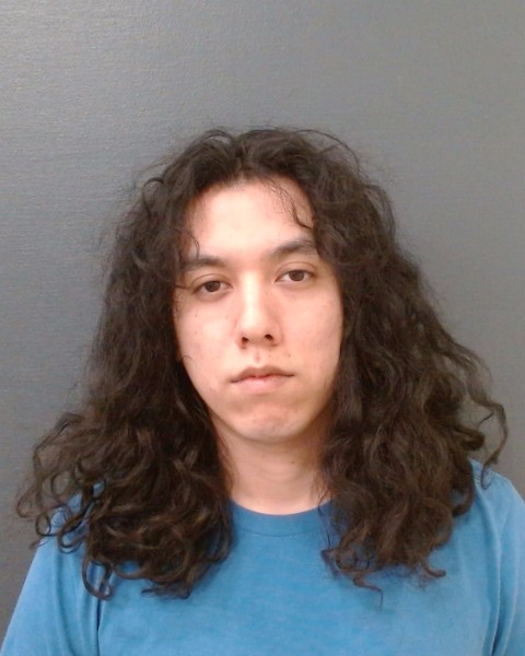 SALINAS, STEPHANO D ANGELO booking photo