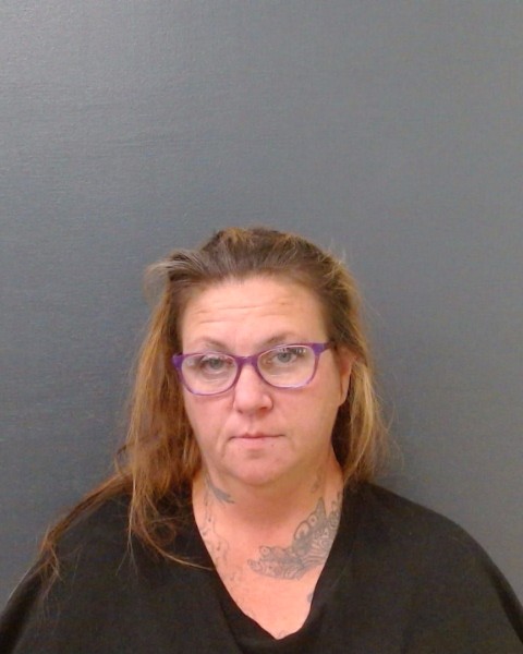 SHAUGHNESSY, SARAH MICHELLE booking photo