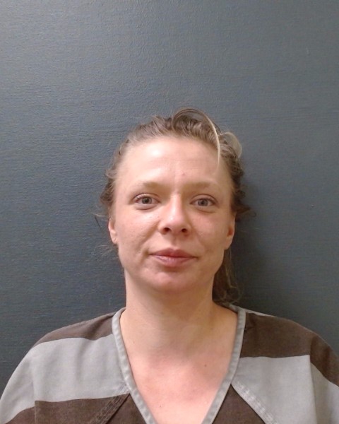 NYBRO, SHYANN DAWN booking photo
