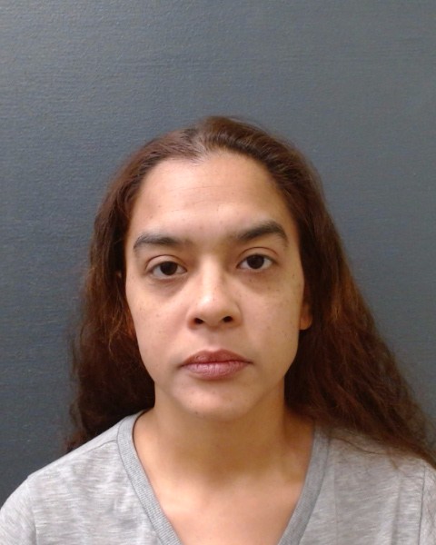 RAMIREZ, MARTHA ANN booking photo