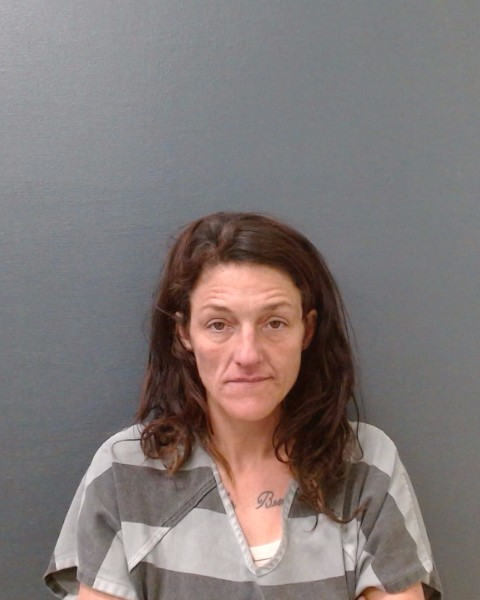 SNYDER, KAY booking photo