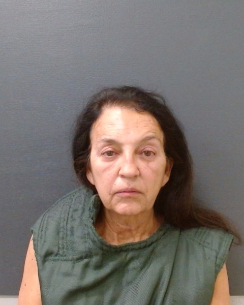 MCLENDON, DEBORA ALVES booking photo