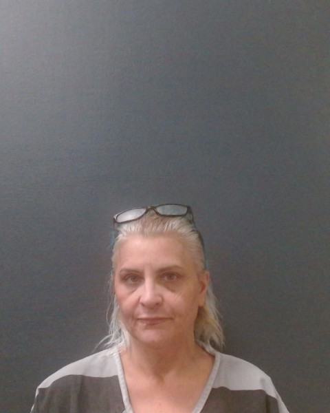 REDUS, CAROL LYNN booking photo