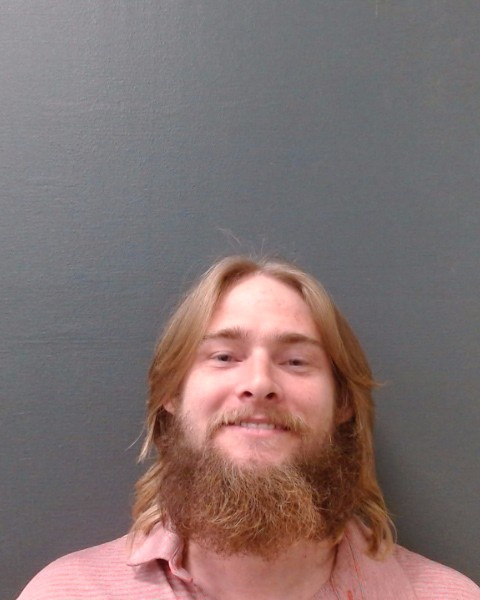 HAYES, RICHARD WAYNE, Jr. booking photo