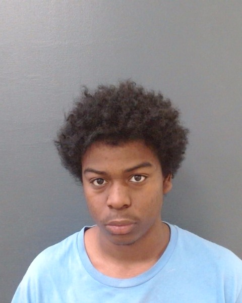 ARZU BARRIOS, ERICK FERNANDO booking photo