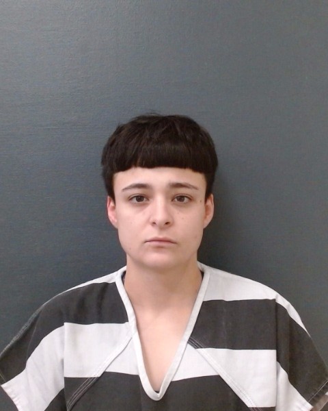 ARREOLA, ASHLEY booking photo