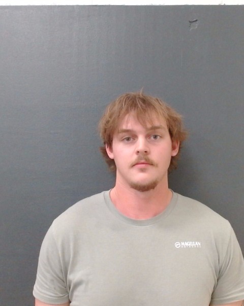 PINDER, RENEE WYATT booking photo