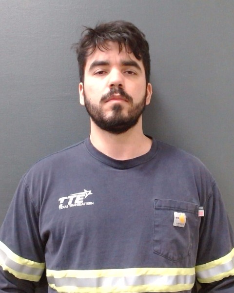 BUENO, NICHOLAS RENEE booking photo