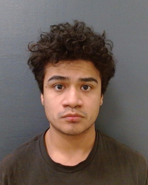 CARREON, JOSE JOAQUIN, Jr. booking photo