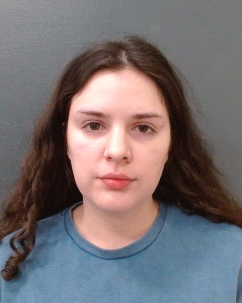 ARNOLD, ALLISON NICOLE booking photo