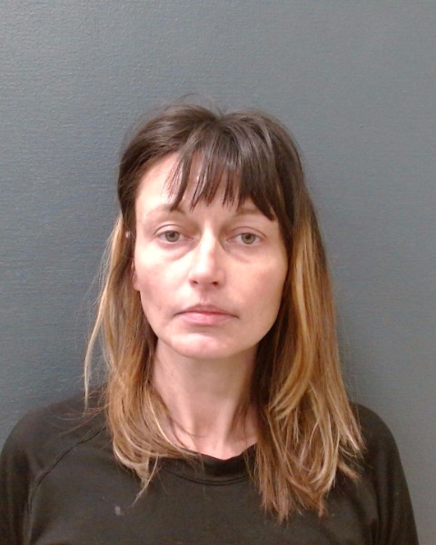 WALDFOGEL, SHAINA NOELL booking photo