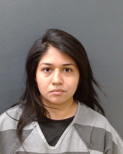 VILLANUEVA, VICTORIA booking photo