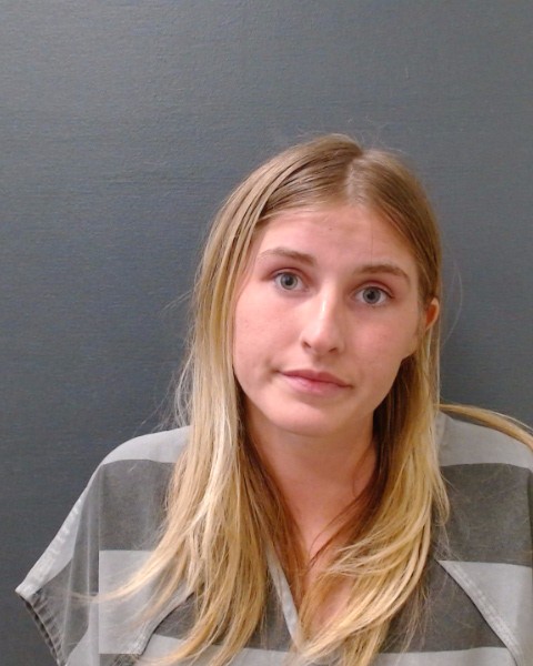 WISE, AVERY LYNNE booking photo