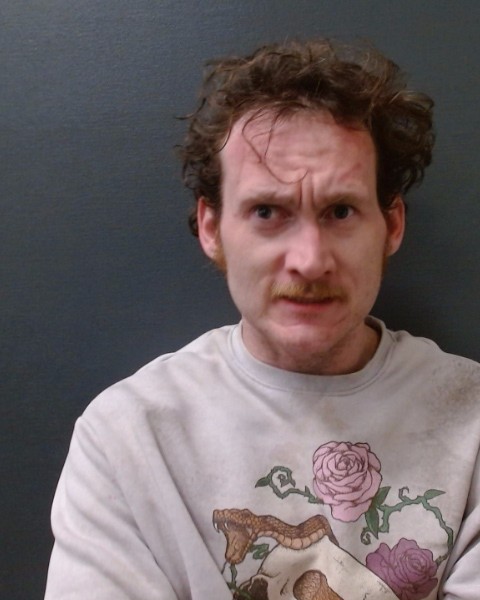 ALEXANDER, ZACHERY TAYLOR booking photo