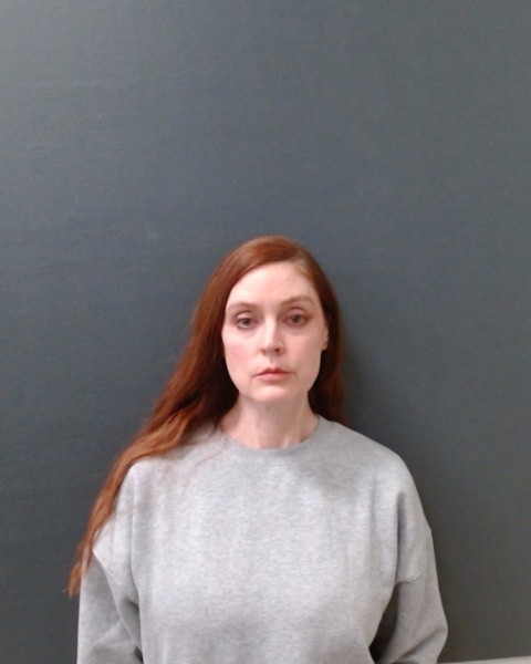 NIBERT, MARISA LYNN booking photo