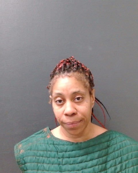 MONTGOMERY, ROSALYN ANNETTE booking photo