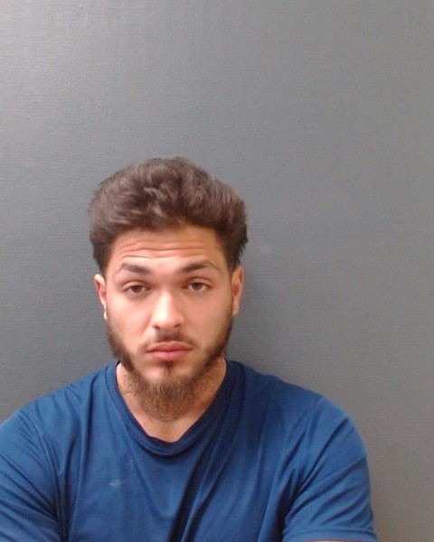 WILL, TIMOTHY ANSEL booking photo