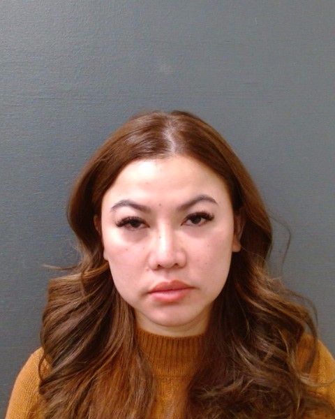 PRICE, LINDSEY NGA booking photo