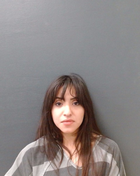 ROCHA, ISABELL DANIELLE booking photo