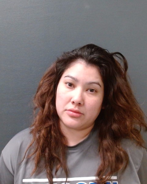 SALINAS, LORI MARIE booking photo