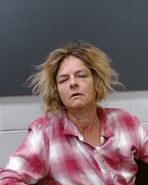 AYERS, ALEXANDRA RENNE booking photo