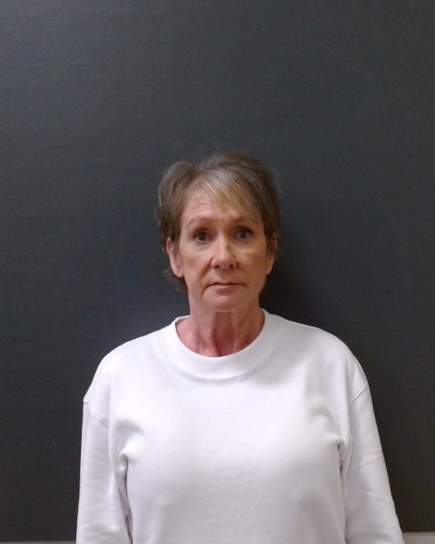 HOLLEY, STEPHANIE COLLEEN booking photo