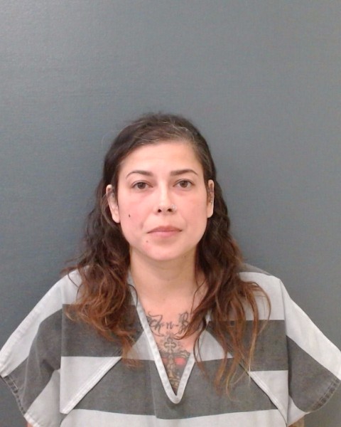 GUTIERREZ, DARLENE booking photo
