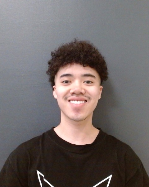 NGUYEN, ETHAN booking photo