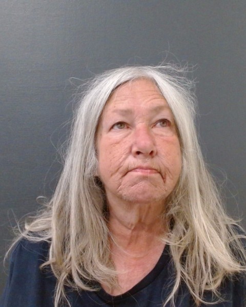 WILLIAMS, CATHY DEANN booking photo
