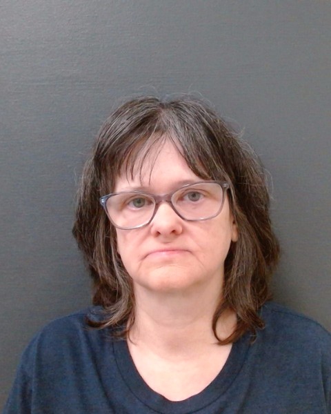 DANNELS, CONNIE SUE booking photo