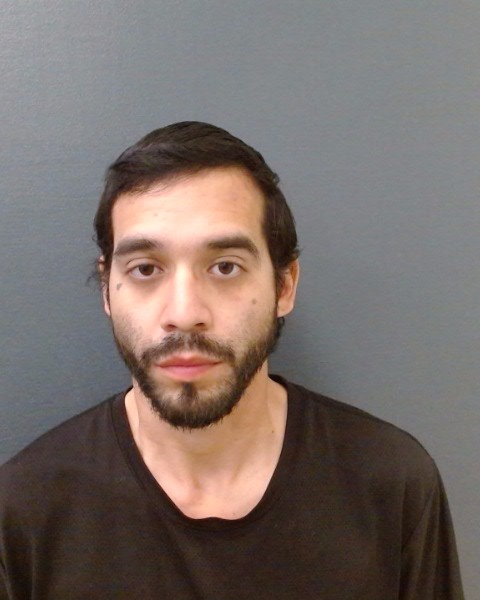 GONZALEZ, EMANUELLE booking photo