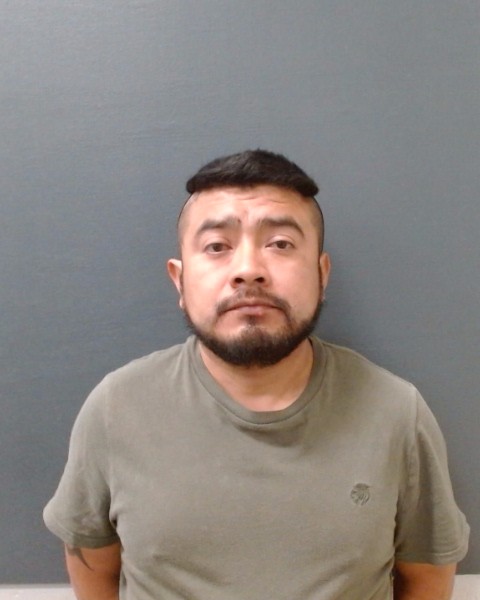 HERNANDEZ GAONA, JUAN MIGUEL booking photo