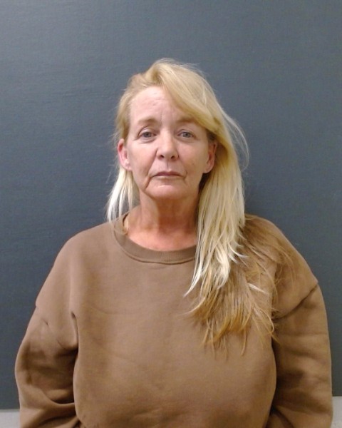 CHESTNUT, KARRIE ANN booking photo