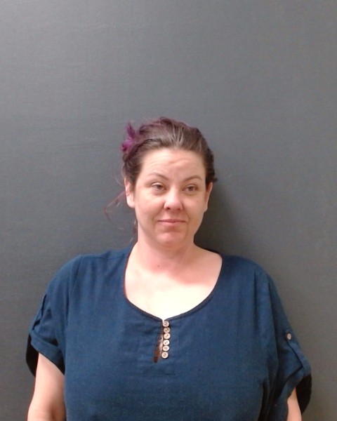 THOMPSON, BRANDI LYNN booking photo